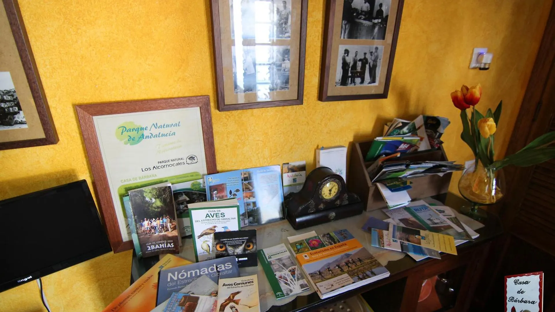 Casa De Barbara Villa Alcala de los Gazules
